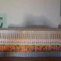 Manga Dragonball Evergreen
