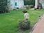 Immagine 3