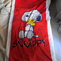 Asciugamano telo da mare 75x145 ragazzi