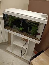 acquario Milo 80 più accessori 