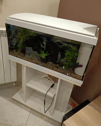 acquario Milo 80 più accessori 