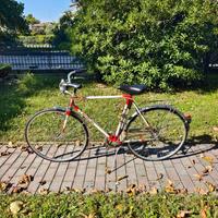 Bicicletta Michelina Vintage - Tenuta bene