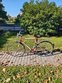 Bicicletta Michelina Vintage - Tenuta bene