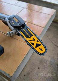Potatore telescopico Dewalt + 2 batterie 