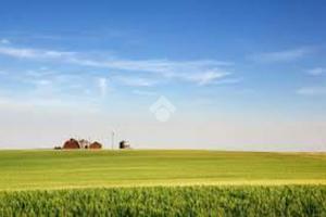 TER. AGRICOLO A SAN PAOLO D'ARGON