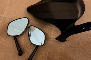 Specchietti rizoma tmax