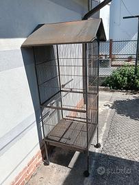 Gabbia per uccellini canarini cocorite