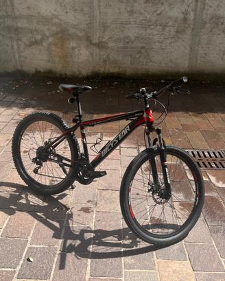 Biciletta mauntain bike
