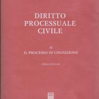 Luiso Diritto processuale civile vol. 2° Giuffrè 2