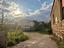 Immagine 17
