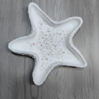 Stella marina in gesso portatutto 
