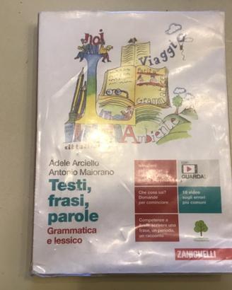 Testi,frasi,parole grammatica e lessico