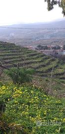 Proprietà agricola con casolare a Linguaglossa