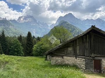 RUSTICO A PINZOLO