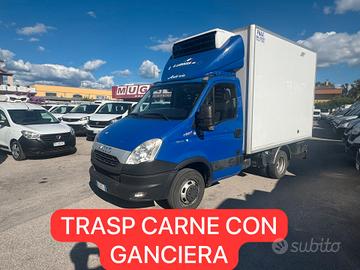 IVECO DAILY 35C21 E5 FRIGO TRASP CARNE