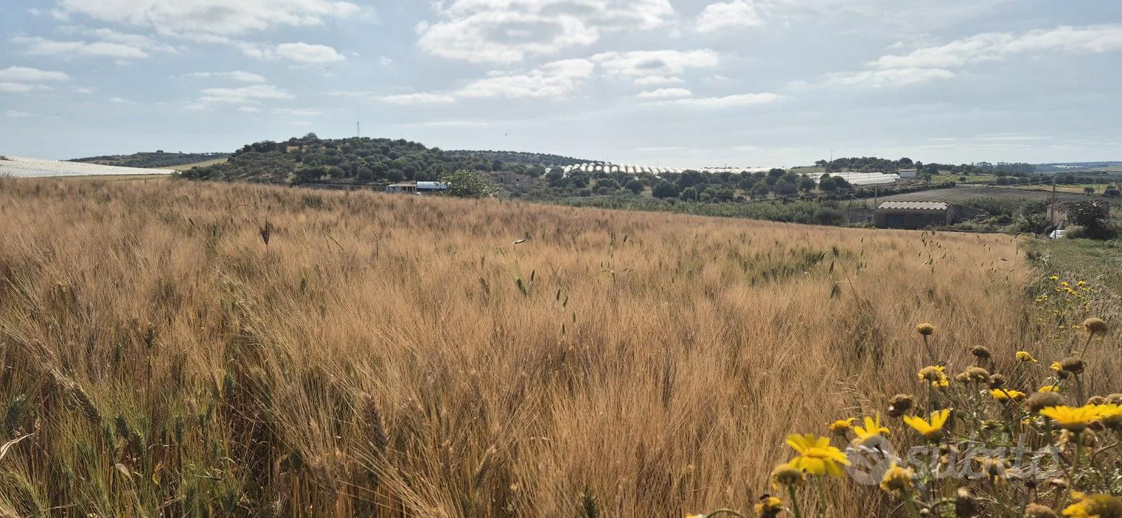 Terreno in Contrada Pianetti s.n.c., Sacro Cuore - Vista 2