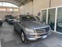 mercedes-benz-ml-250-4matic-sport-204-cv-c-auto