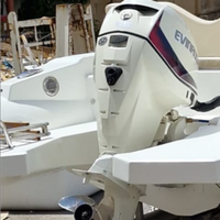 Evinrude 115 e-tec