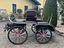 Immagine 22