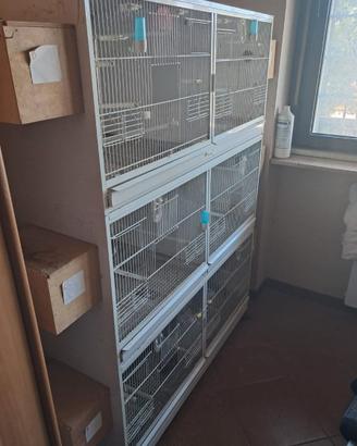 Batterie di gabbie cessione in blocco