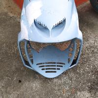 carena f12 1 of 1