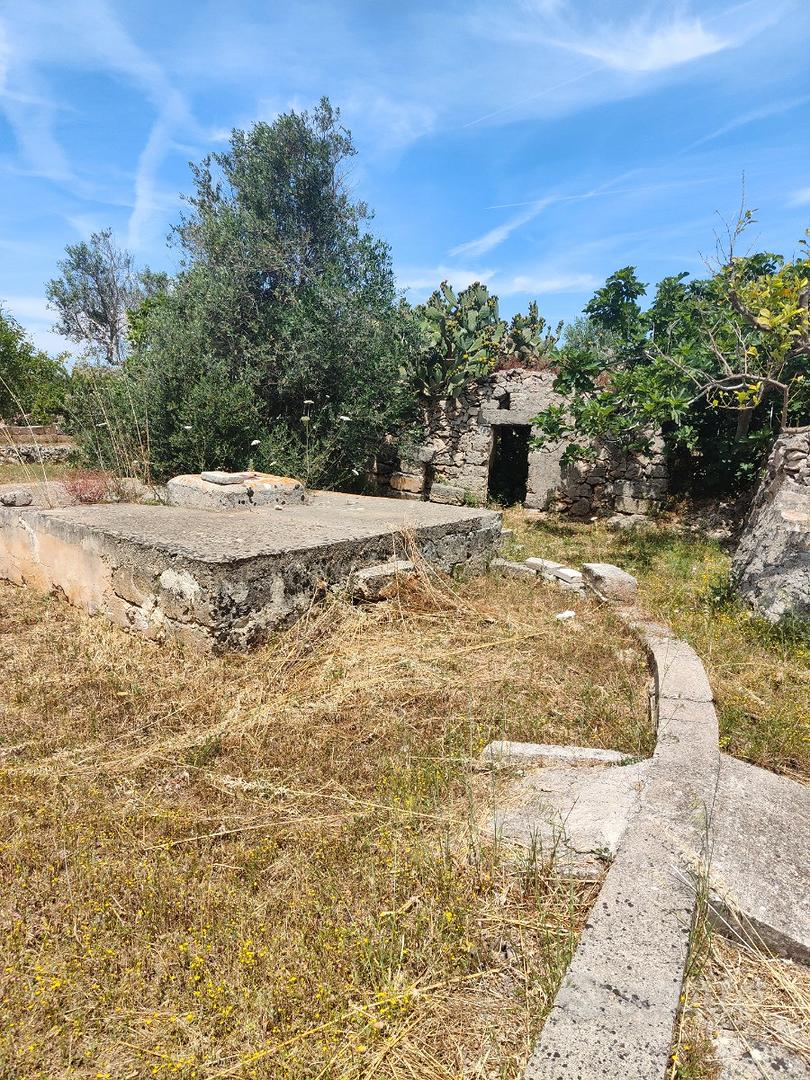 Terreno agricolo - Vista 2