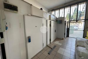 LABORATORIO A CANALE