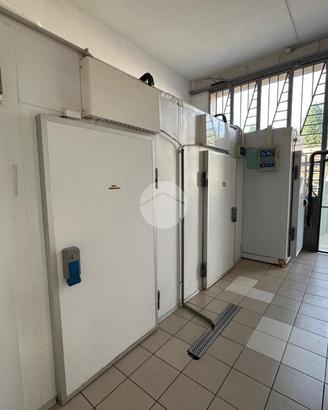 LABORATORIO A CANALE