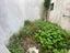 Immagine 24