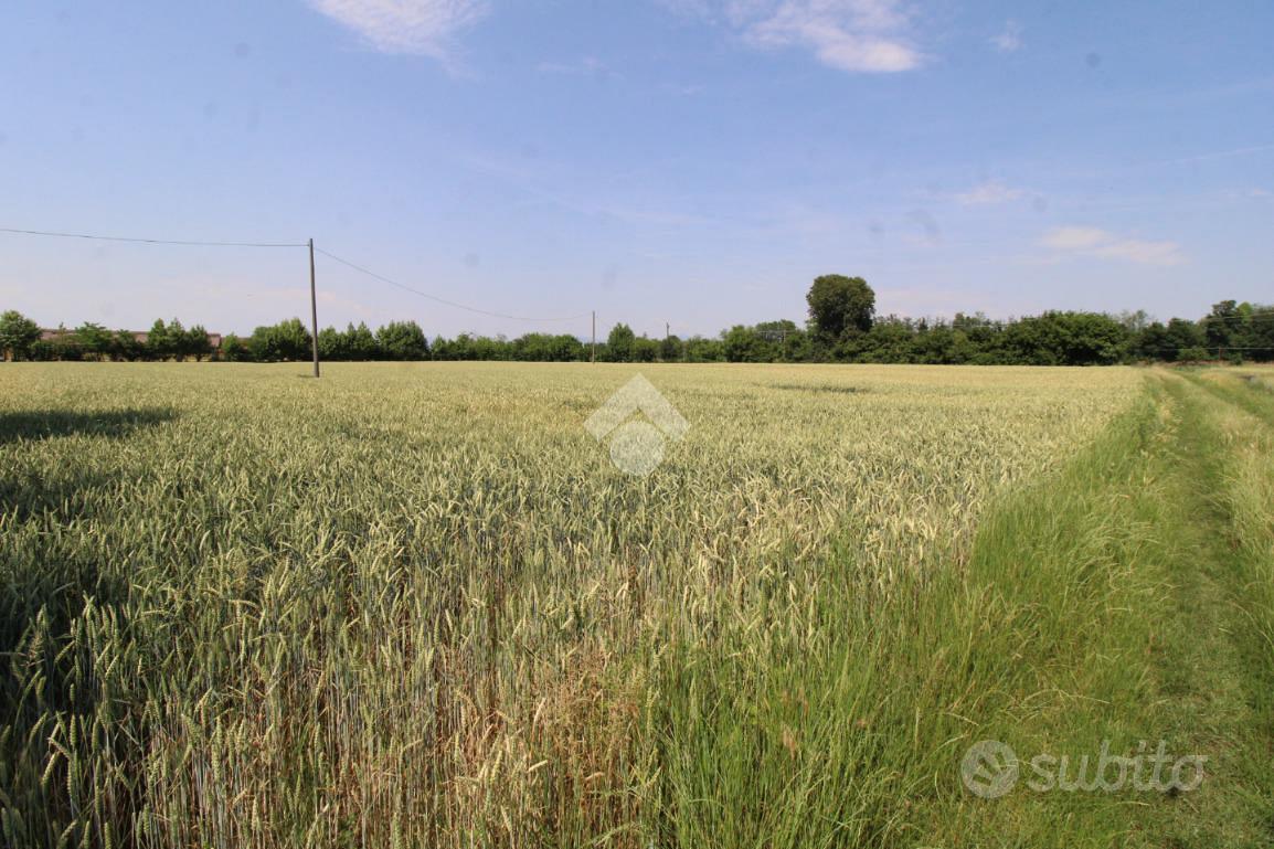 TER. AGRICOLO A URAGO D'OGLIO - Vista 4