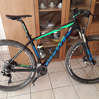 Scott scale carbon 935 tg L
