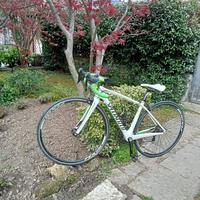 Bici da corsa specialized