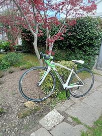 Bici da corsa specialized