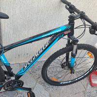 montain bike specialized