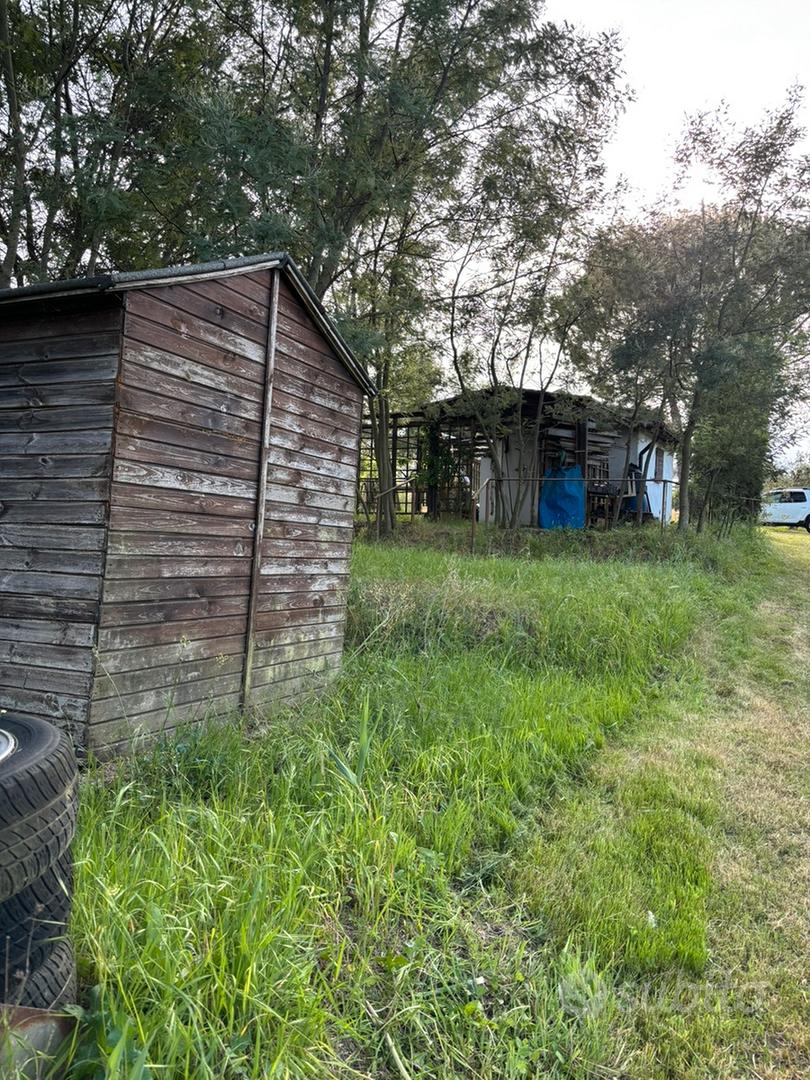 Fauglia (PI) terreno agricolo con annesso - Altro
