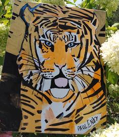 tigre paul endy 