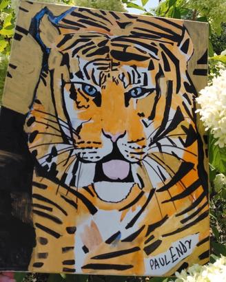 tigre paul endy 