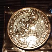 Moneta 2 Once Argento 999 /1000