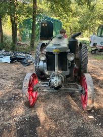 Landini velite testa calda