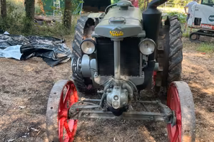 Landini velite testa calda