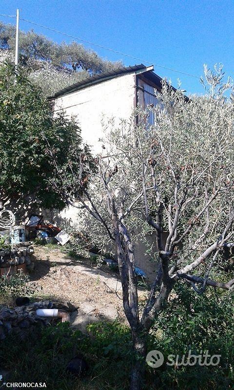 Scaletta superiore ampio terreno con fabbricato - Vista 3