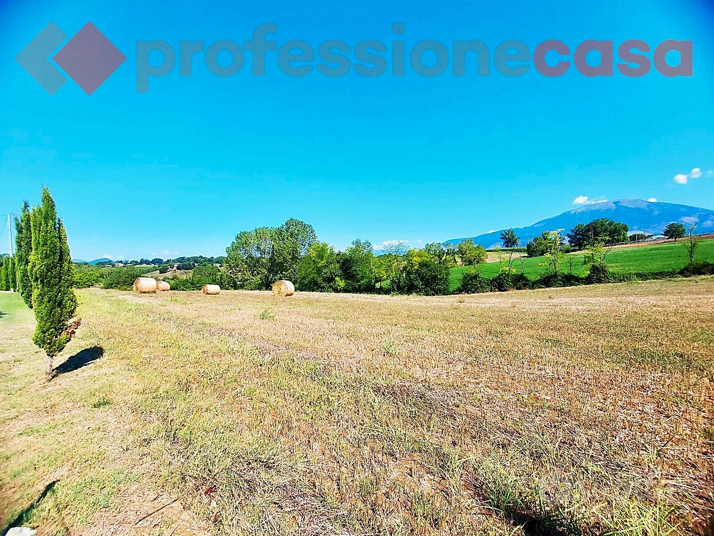 Terreno agricolo - Vista 3