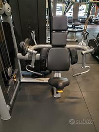 Technogym Selection Arm Curl