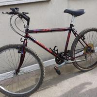 BICICLETTA MOUNTAIN BIKE