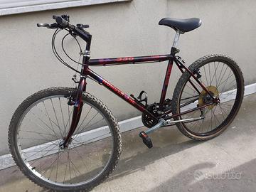 BICICLETTA MOUNTAIN BIKE