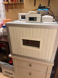 Incubatrice per pulcini
