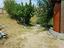 Immagine 12