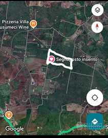 Castiglione di Sicilia zona vigneti Nerello Mascal