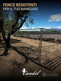 Fence robusti per cavalli