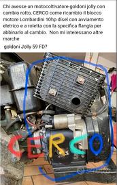 Motore Lombardini con doppio avviamento